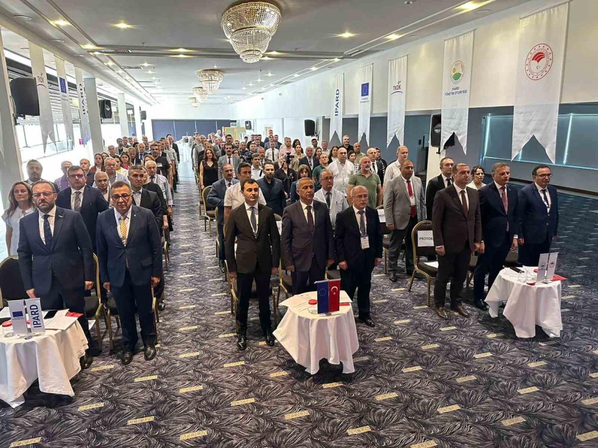 2024 Yılında Yatırımcılara 555 M Euroluk Destek
